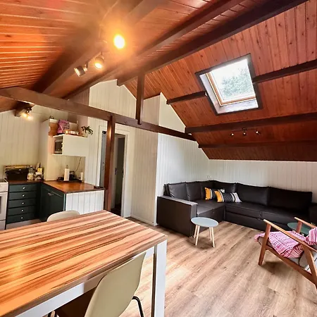 Golfchalets Evergreen - Four Seasons Dağ evi *